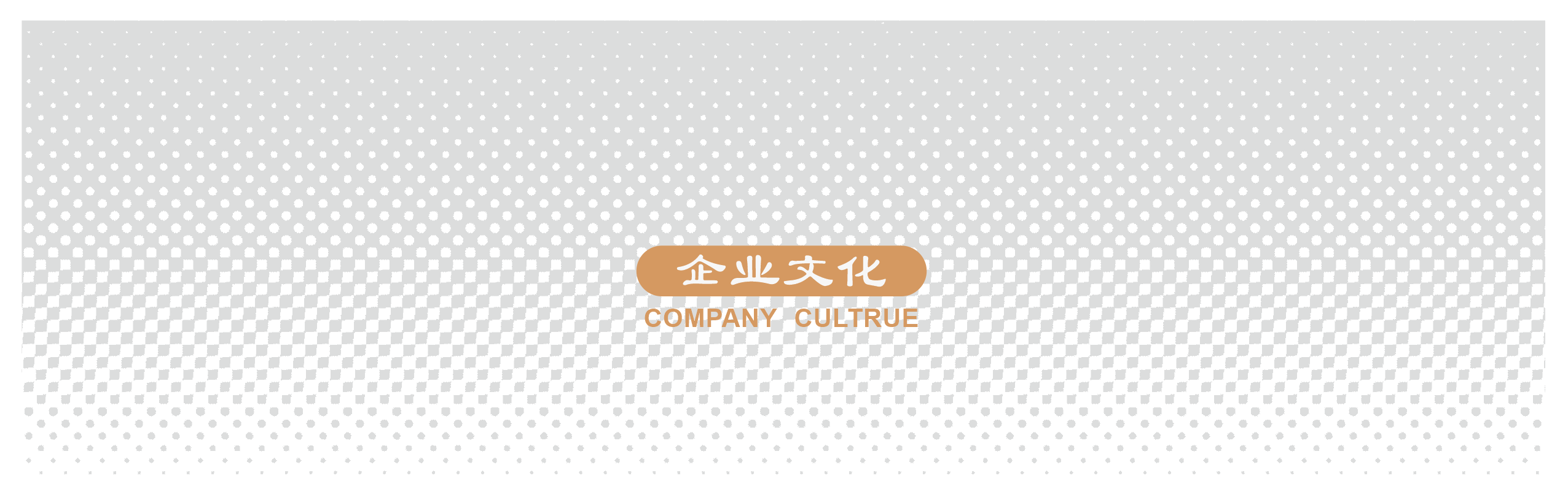 天鉴画册-企业文化2.png