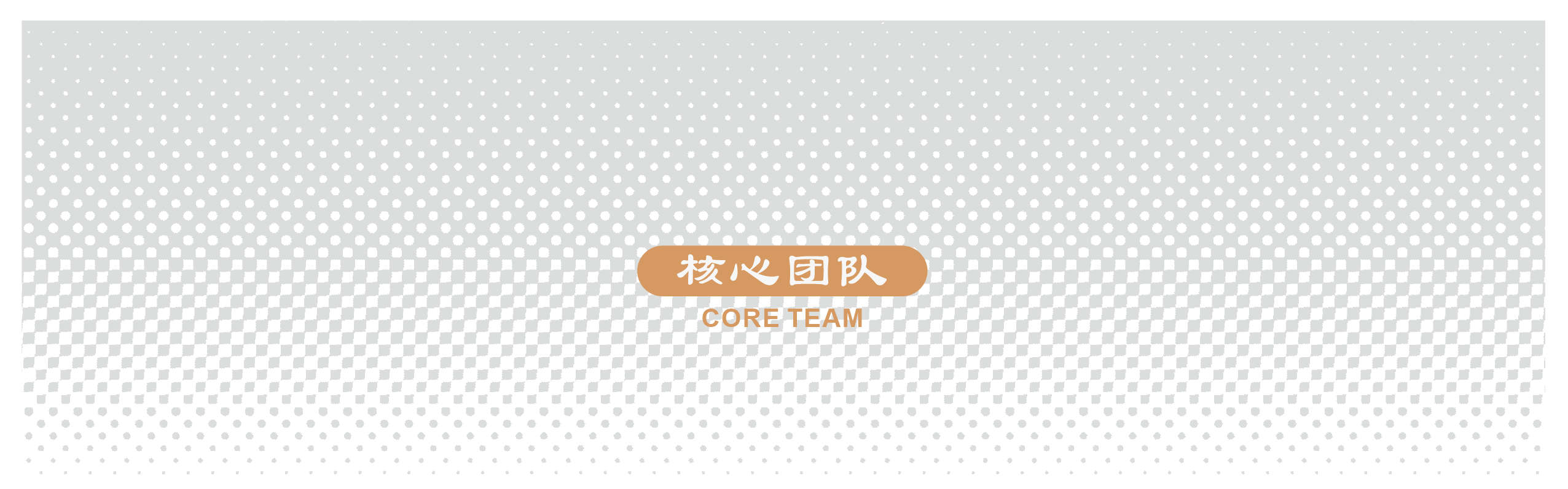 天鉴画册-核心团队2.png