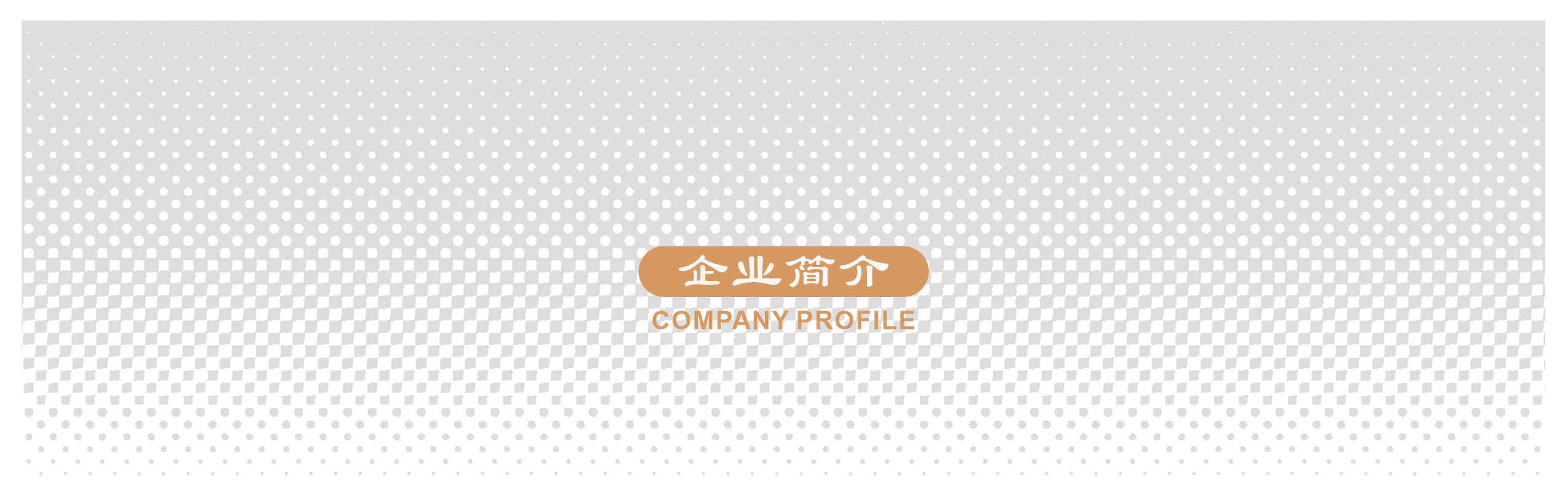 天鉴画册-企业简介1.png